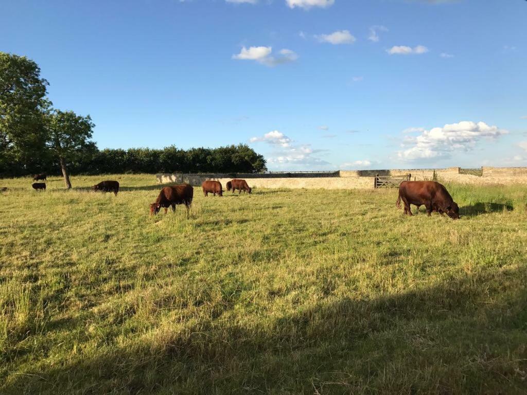 Cambridge Country Cottages Экстерьер фото